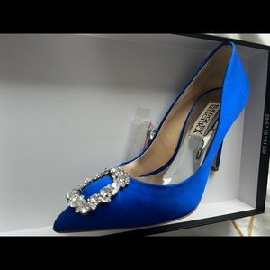 Badgley Mischka Cher Crystal Embellished Pump Size 5 blue